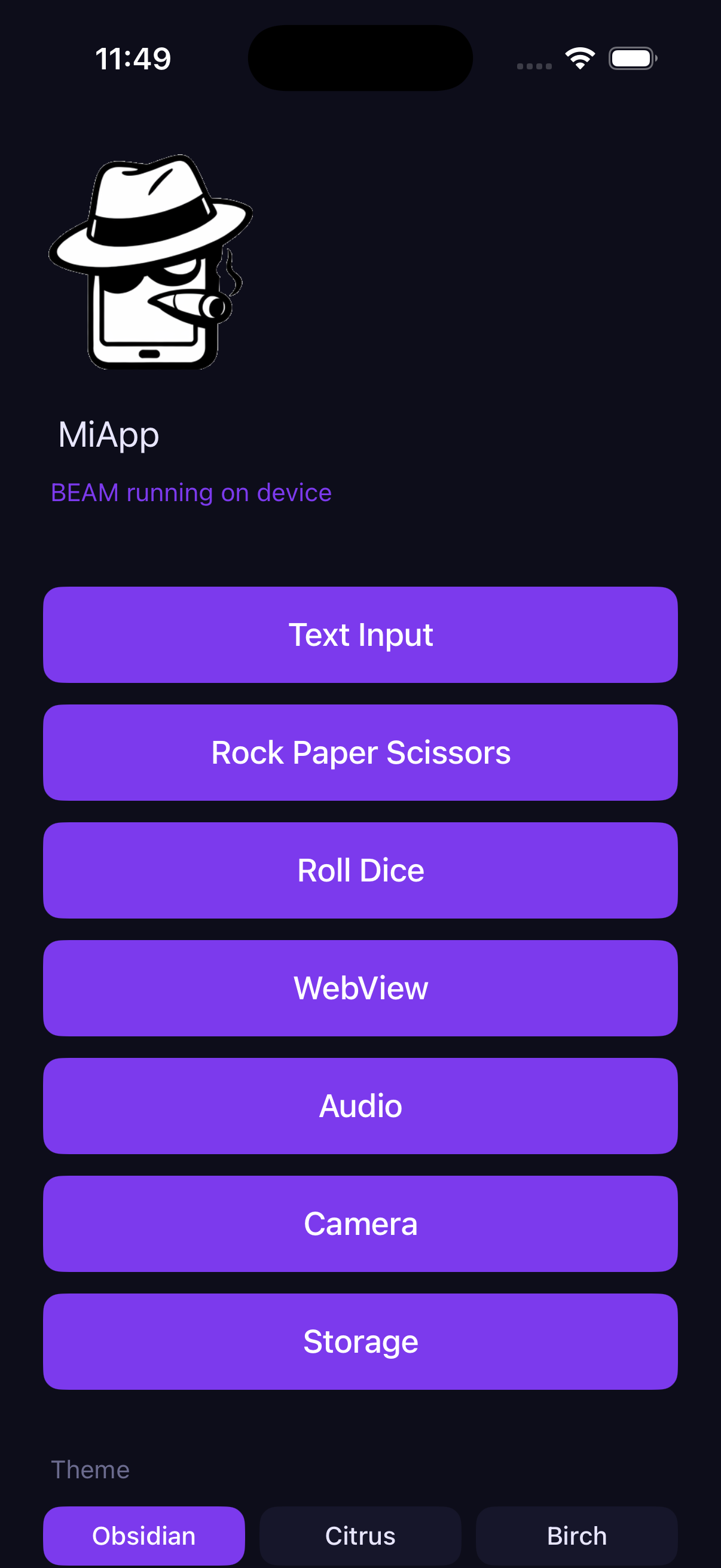 iPhone Simulator